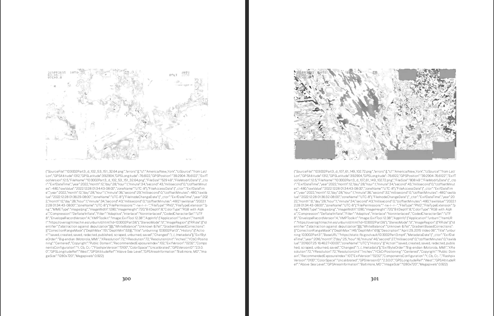 a two page spread, each page has a grainy grayscale image at the top followed by a cluster of metadata below